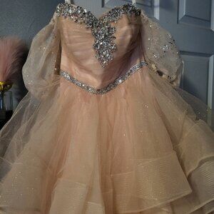 Sparkly Formal Gown